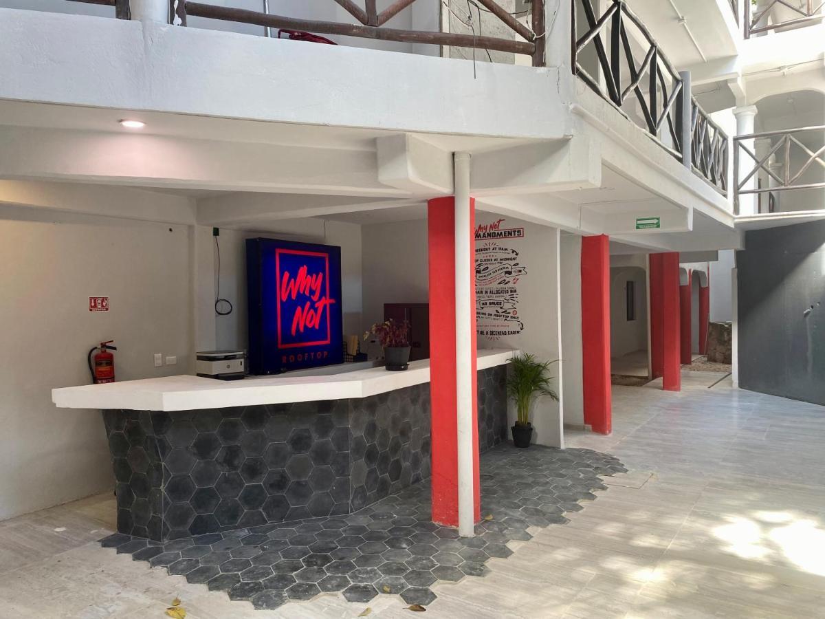 بلايا ديل كارمن Why Not Rooftop Party Hostel المظهر الخارجي الصورة