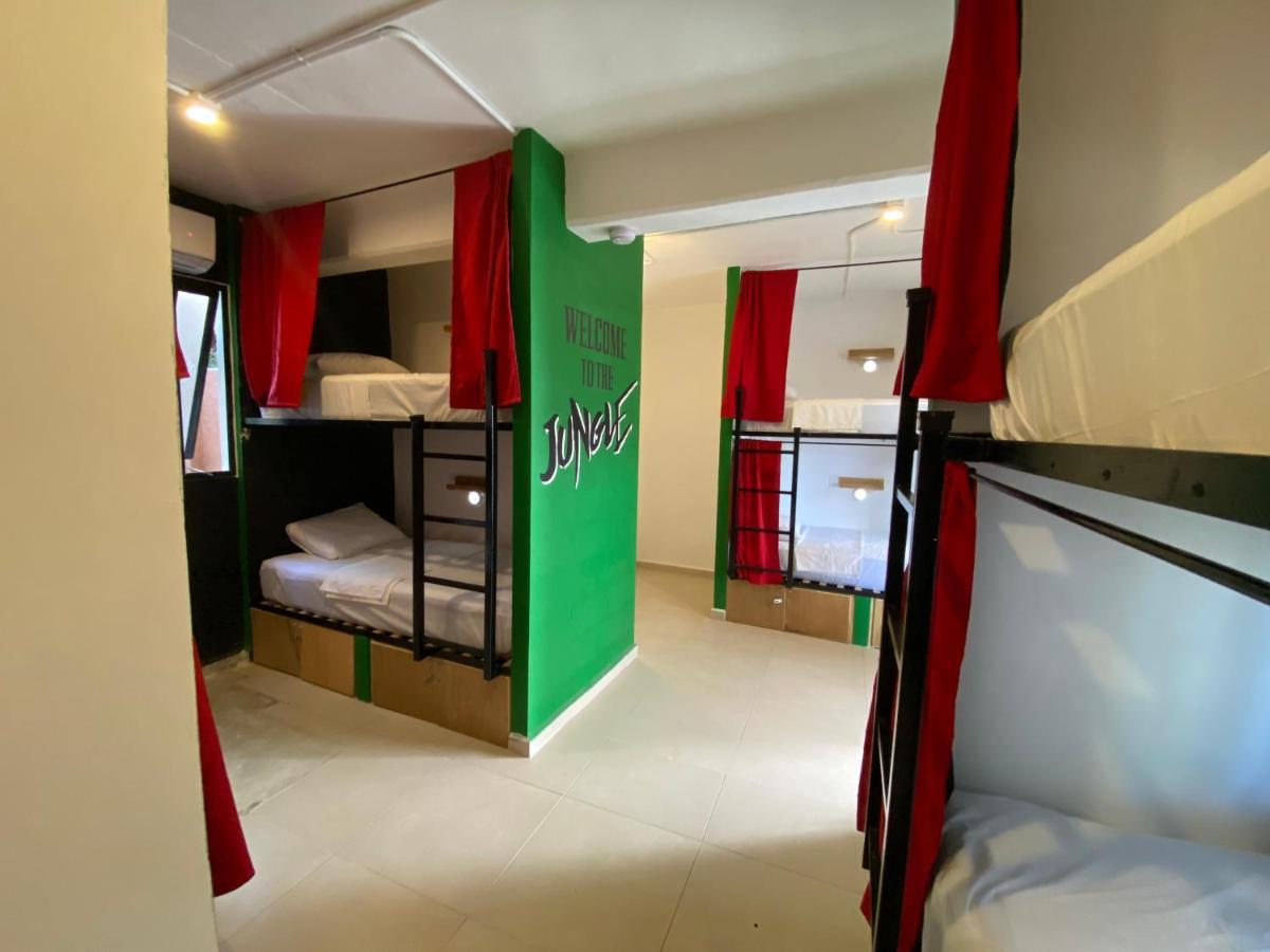 بلايا ديل كارمن Why Not Rooftop Party Hostel المظهر الخارجي الصورة